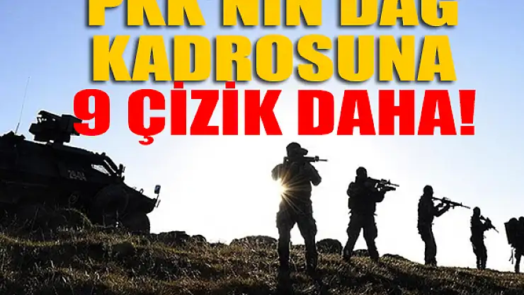 PKK'nın dağ kadrosuna 9 çizik daha!