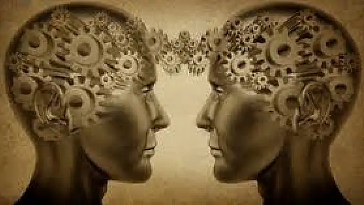 Rasyonalizm Nedir? Akıl ve Mantık Temelli Felsefi Yaklaşım