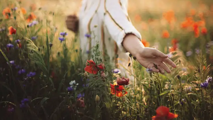 Resimli 8 Mart mesajları: 8 Mart Dünya Emekçi Kadınlar Günü sözleri, anlamlı kadınlar günü mesajları