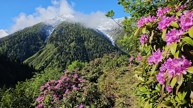 Rize'nin Kaçkar Dağları, karla kaplı zirveleriyle ve ilkbaharın renkleriyle büyülüyor