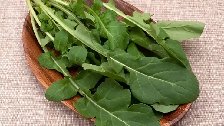 Roka: Yeşil Yaprakların Sağlık Üzerine İnanılmaz Etkileri