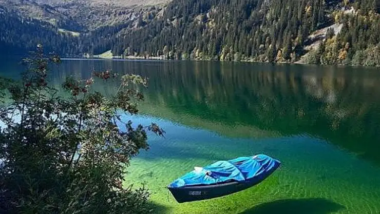 Rusya'nın doğal mirası: Baykal Gölü'nün eşsiz güzellikleri ve ekosistemi