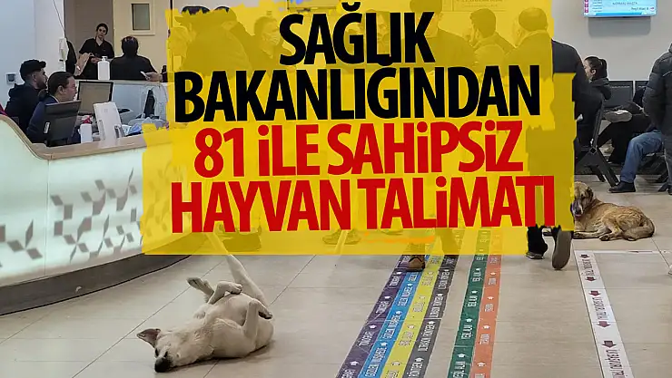 Sağlık Bakanlığından 81 ile sahipsiz hayvan talimatı