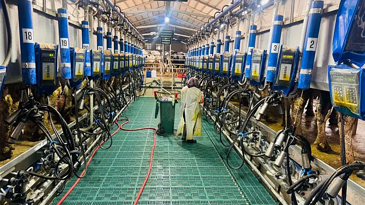 Sağlıklı hayvan, kaliteli süt! Konya'da denetimler sürüyor