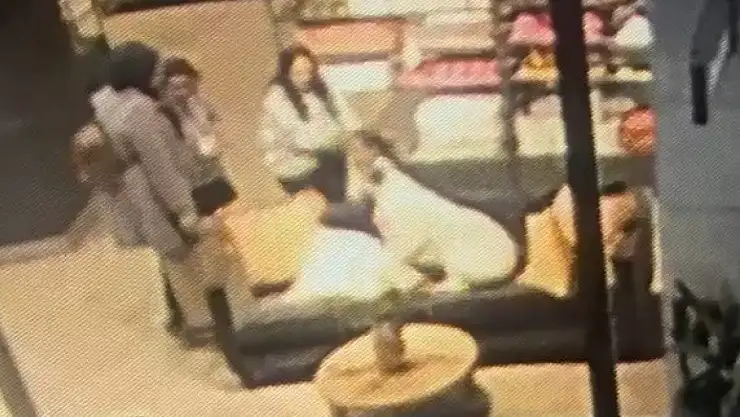 Sahipsiz köpek 3 yaşındaki çocuğa saldırdı