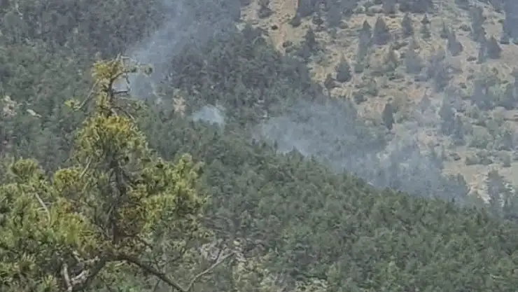 Saimbeyli'de çıkan orman yangını kontrol altIna alındı