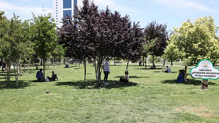 Şanlıurfa'da sıcak hava rekor kırıyor: Termometreler 44 dereceyi gösterdi