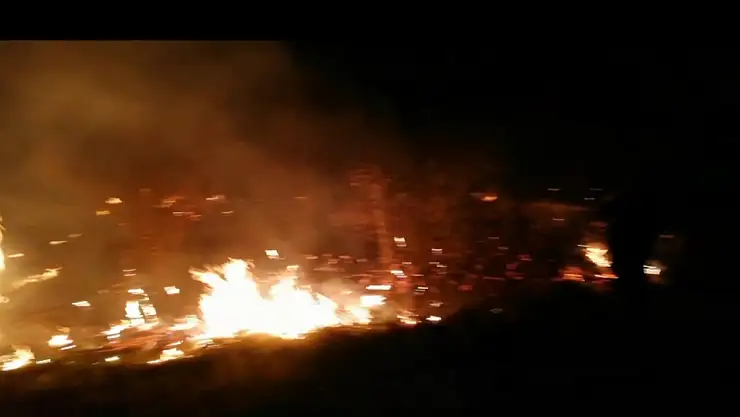 Sazlık yangını korkuttu!