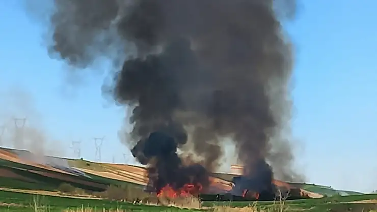 Sazlıkta çıkan yangın paniğe sebep oldu