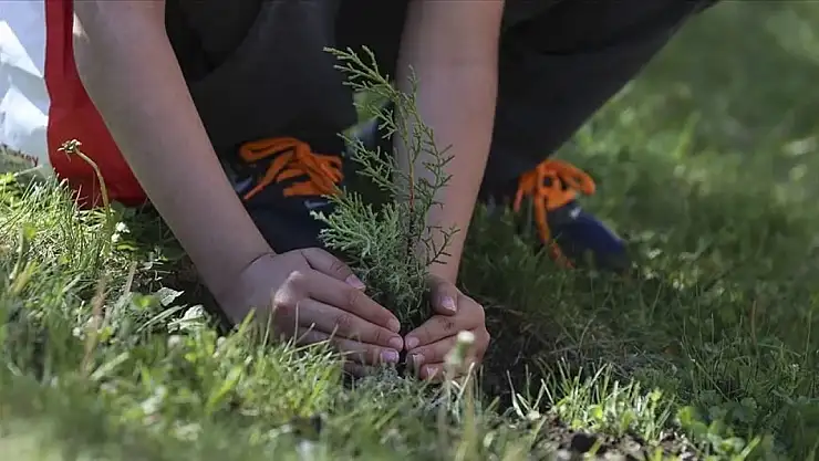 Şehitlerin anısına Konya'nın o ilçesinde fidan dikildi