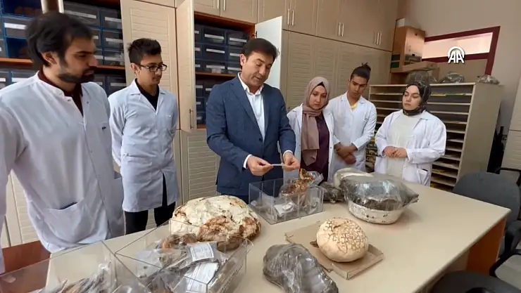 Selçuk Üniversitesi, 30 bin mantar örneğiyle öğrencilere bilimsel deneyim sunuyor