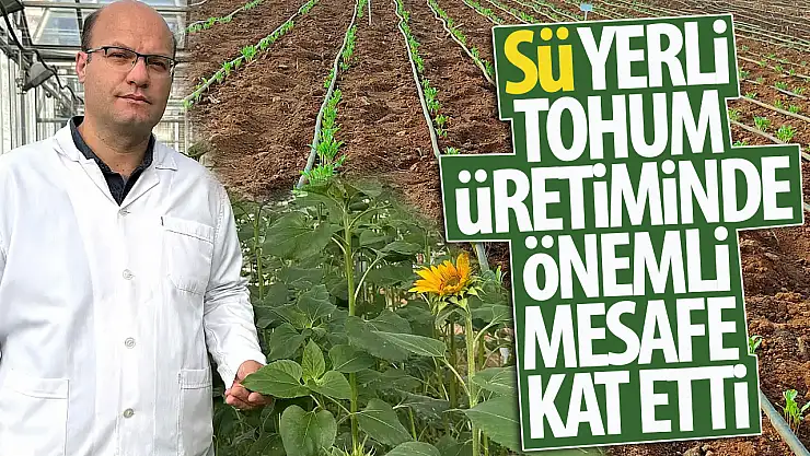 Selçuk Üniversitesi yerli tohum üretiminde önemli mesafe kat etti