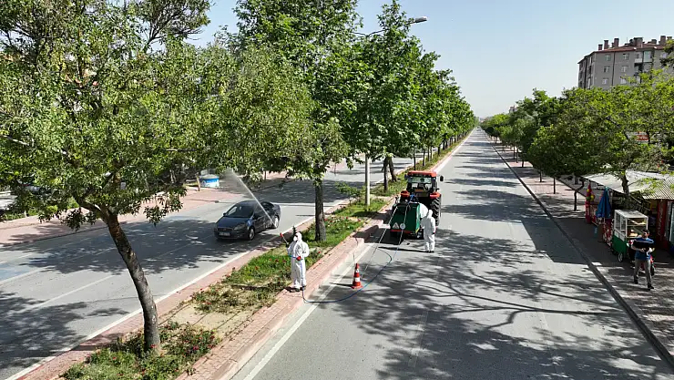 Selçuklu'da Haşerelere Karşı Savaş Açıldı!