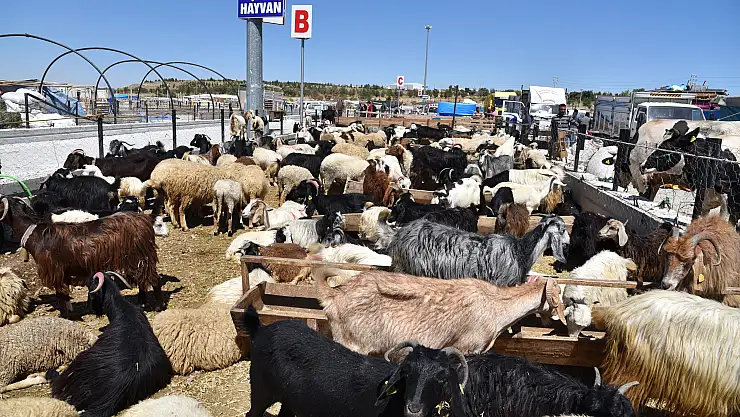 Selçuklu'da kurban satışı başladı