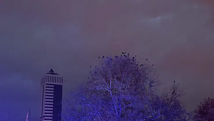 Şemsiyenizi hazırlayın! Konya'da yağışlı günler başlıyor