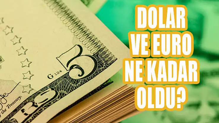 Serbest piyasada döviz fiyatları