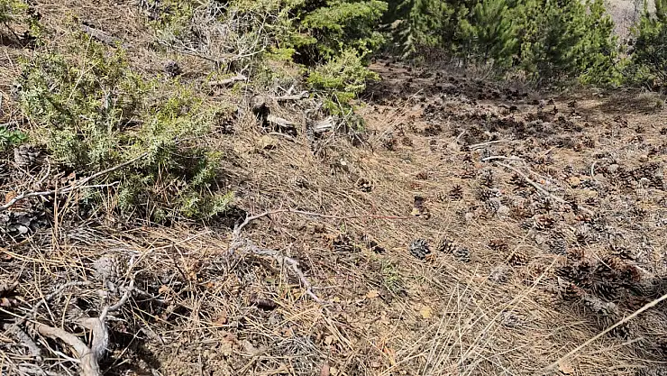 Seydişehir Homonada Trekking Rotasında çalışmalar devam ediyor
