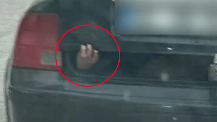 Seyir halindeki otomobilin bagajından çıkan el şaşkına çevirdi