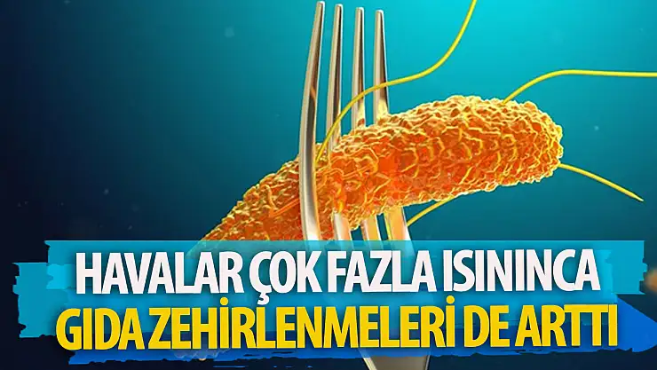 Sıcaklarla birlikte gıda zehirlenmeleri de artıyor