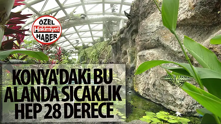 Konya'daki bu alanda sıcaklık hep 28 derece! Peki bu bahçenin sırrı ne?