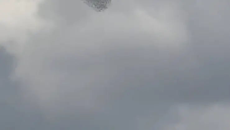 Sığırcıklar gökyüzünde görsel şölen oluşturdu!