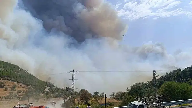 Orman yangınında yerleşim yerleri tahliye ediliyor