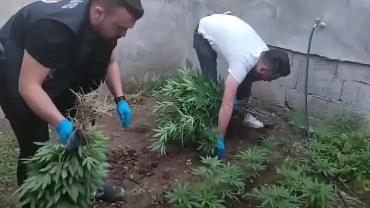 Sınırda uyuşturucu tacirlerine darbe