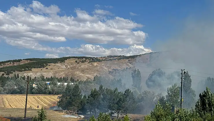 Sivas' ta çıkan yangında son durum