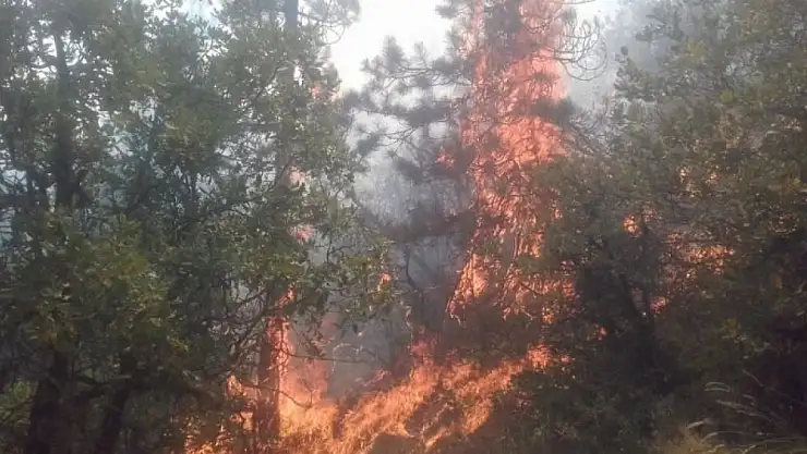 Soğuksu Milli Parkı'nda yangın paniği!