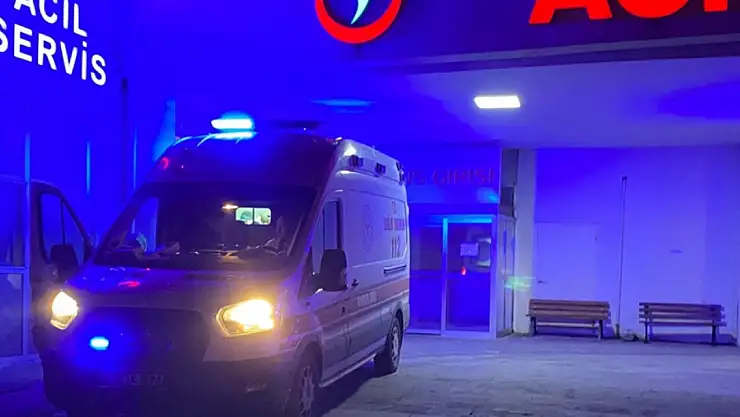 Sokak köpeklerinin saldırdığı 2 çocuk yaralandı!