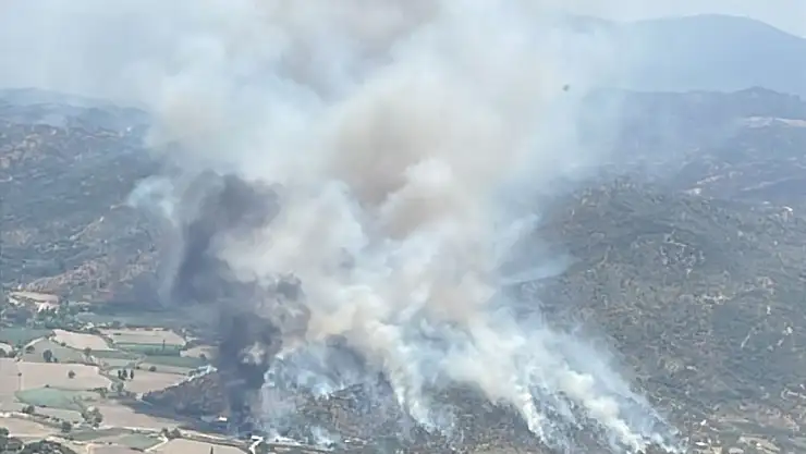 Söke'de zirai alanda yangın: Havadan ve karadan müdahale sürüyor