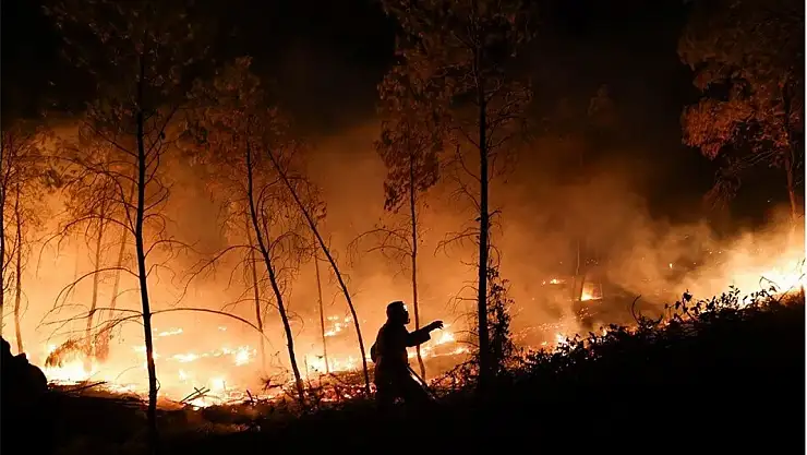 Son 4 günde 242 orman yangını çıktı