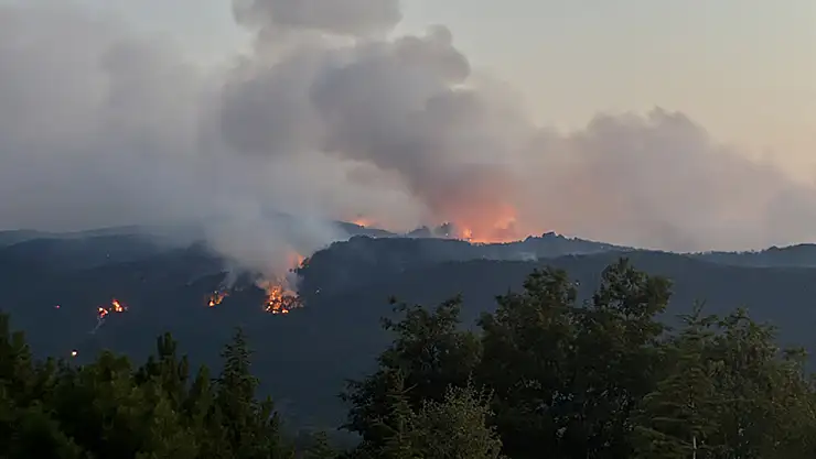 Orman yangını yürekleri yaktı! Çok sayıda şehit var...