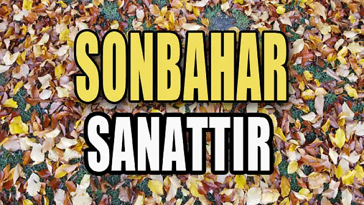 Sonbaharda renk cümbüşü...