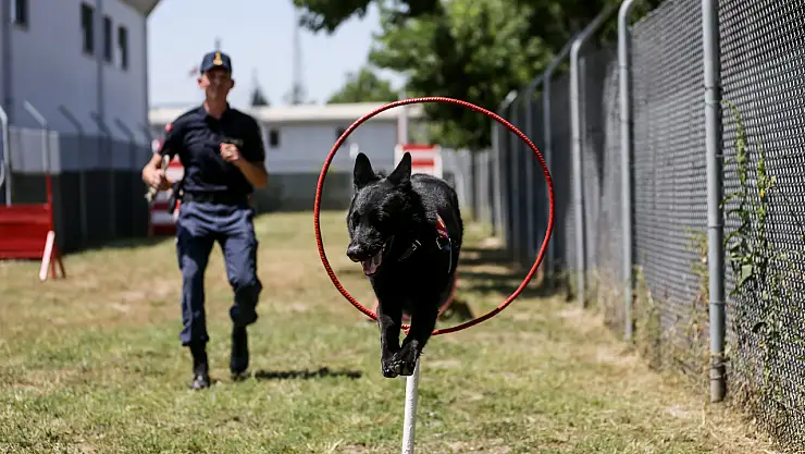 'Şüpheli yangınlar' onun katkısıyla aydınlatılıyor
