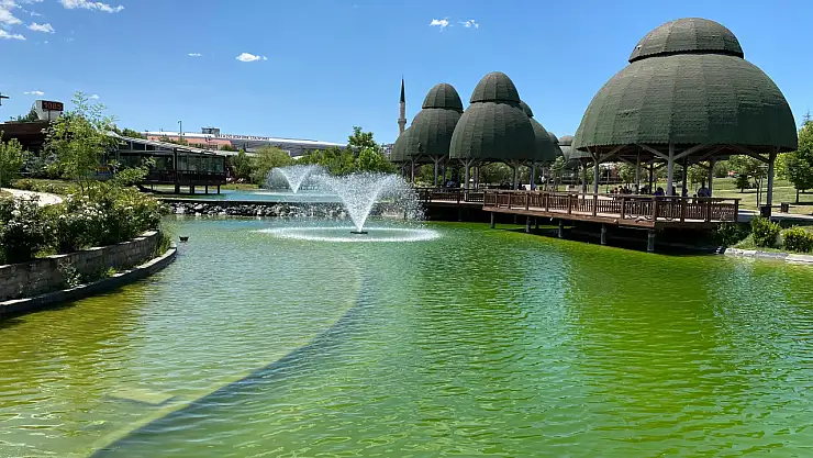 Süs havuzuna düşen küçük çocuk hayatını kaybetti!