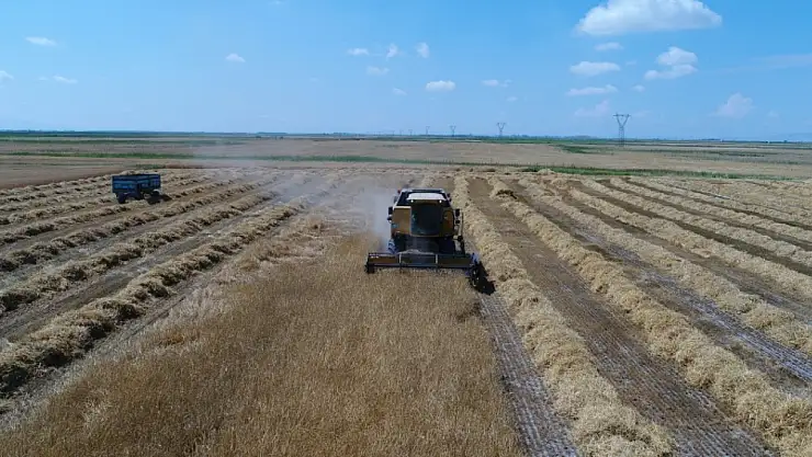 Tahıl ambarı Konya Ovası'ndan beklenen rekolte artışı