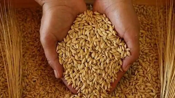 Tarihi tahıl anlaşma sonrası fiyatlarda sert düşüş!