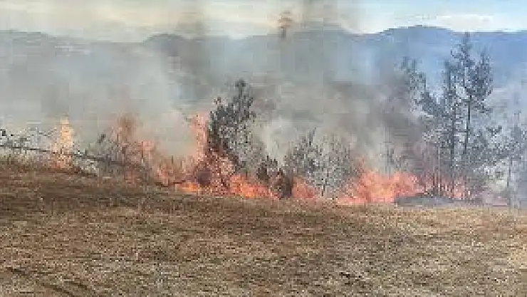 Tarım arazisinde çıkan yangın ormanlık alana sıçramadan müdahale edildi