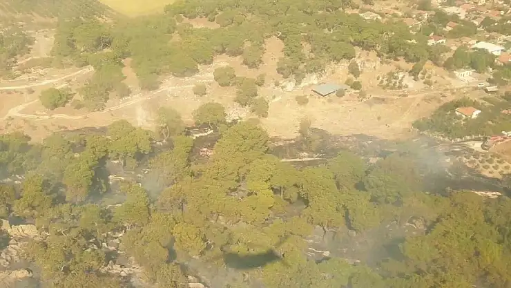 Tarım arazisinde yangın çıktı