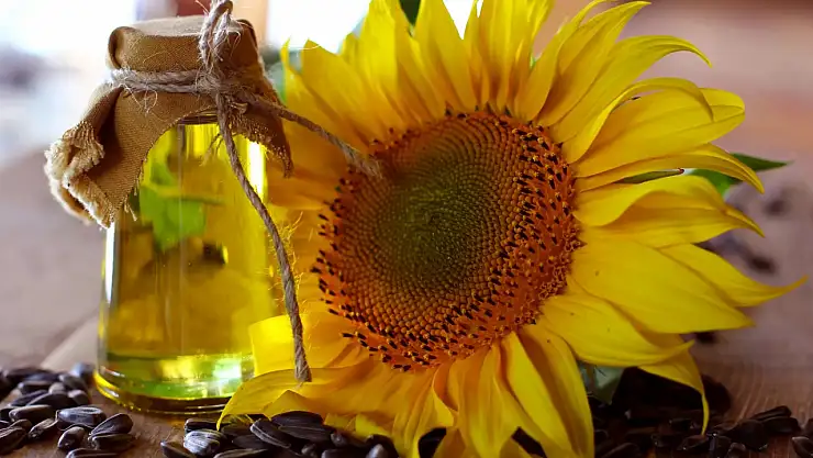 Tarım Kredi fiyatları dip yaptı: İşte yeni ayçiçek yağı fiyatı...