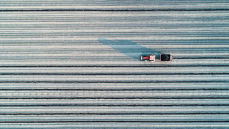Tarım ve Orman Bakanlığı'ndan eylem planı