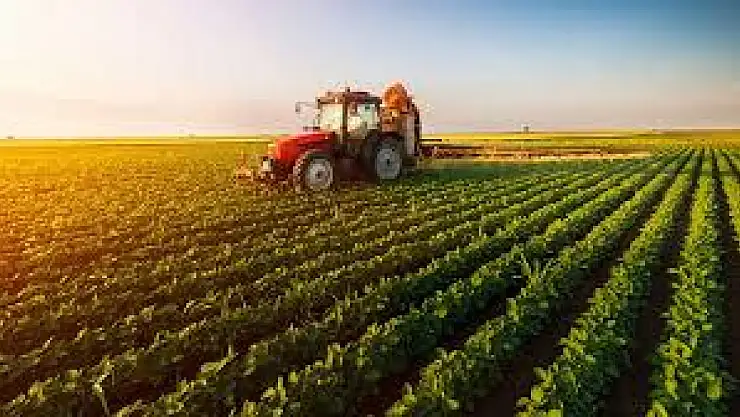 Tarımda Yükselen Değerler: Altın Gibi 10 Ürün