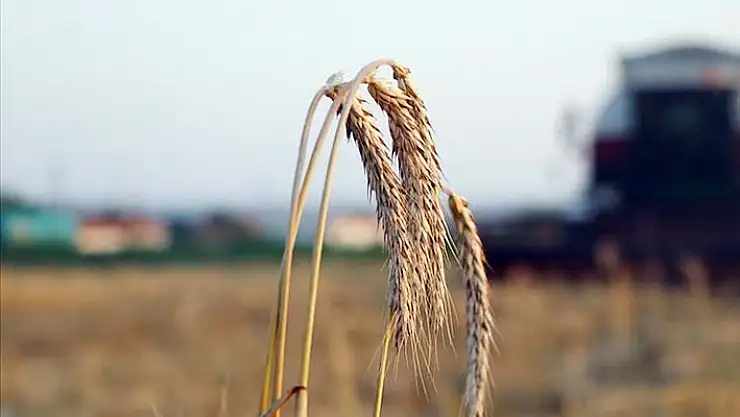 Tarımsal işletmelere 600 lira destek verilecek