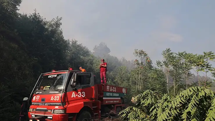 Tarlada başlayan yangın ağaçlık alana sıçradı