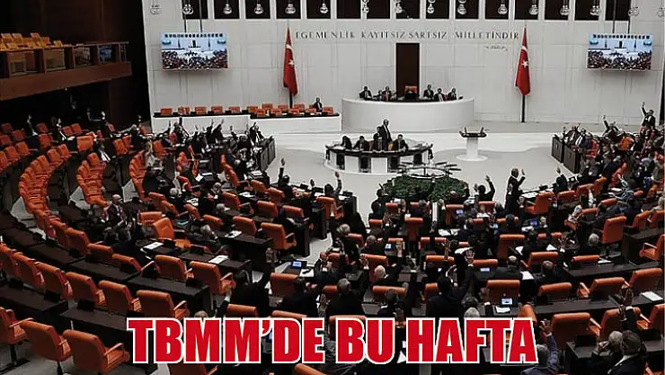 TBMM'de bu hafta