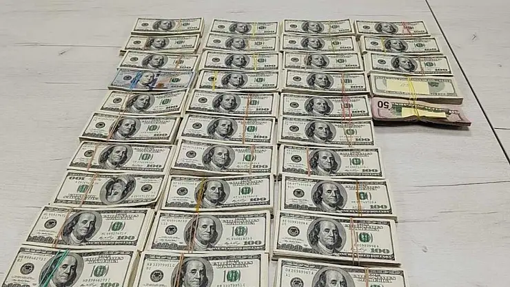 Televizyon içerisine sakladıkları 340 bin dolar gümrüğe takıldı