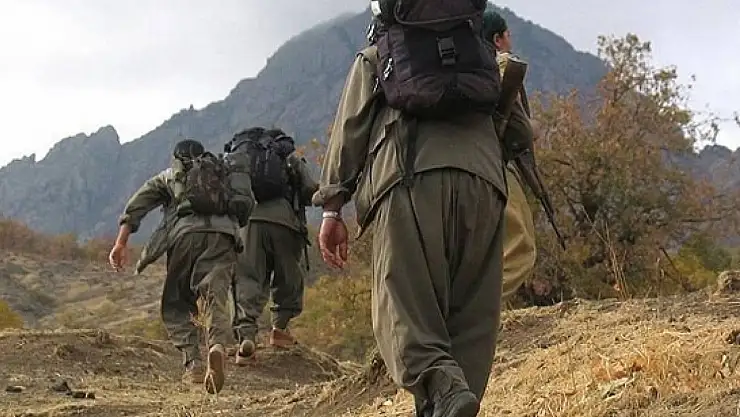 Terör örgütü PKK neden karar değiştirdi?