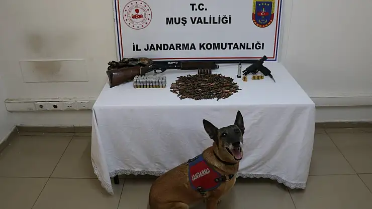 Tezek yığınının altından cephanelik çıktı