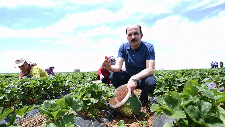 TIKLA-BAŞVUR! Konya Büyükşehir Belediyesi'nin destek kayıtları başladı!